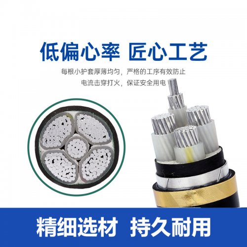铠装电缆